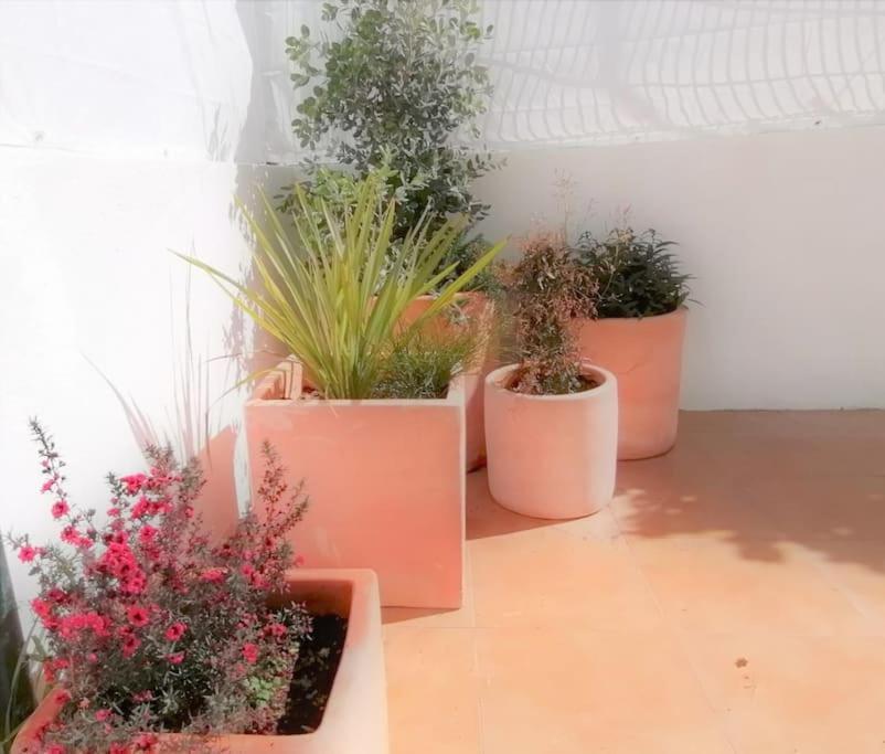 Cozy Apartment With Private Courtyard Barcarena Exteriér fotografie